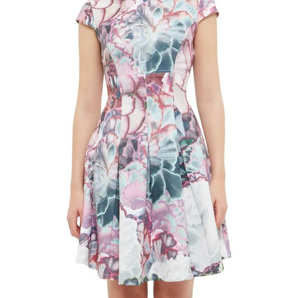 Ted Baker Pastel Succulent Mini Skater Dress 0 - Picture 16 of 16